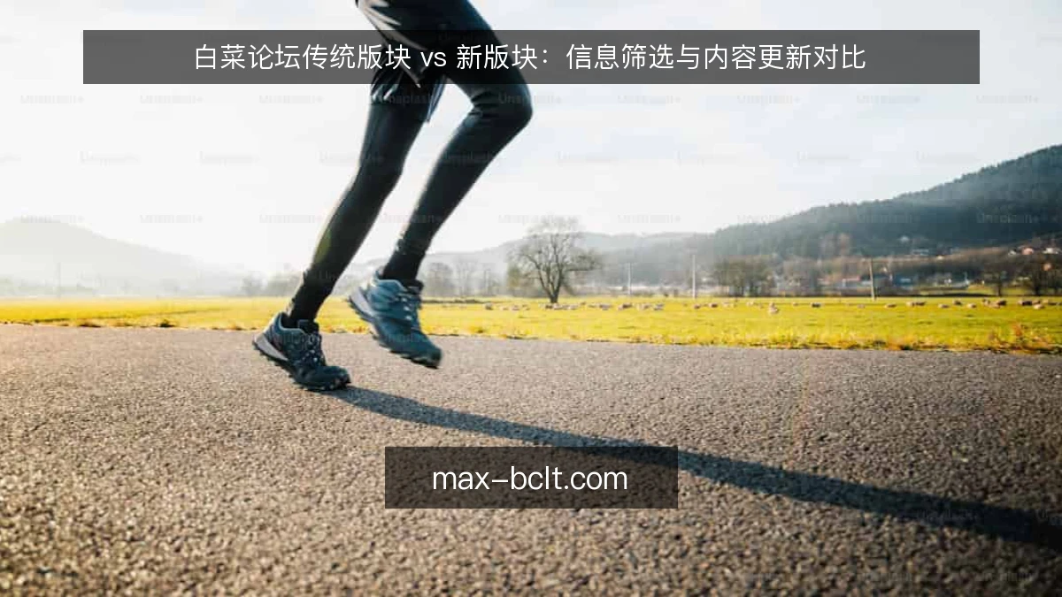 白菜论坛传统版块 vs 新版块：信息筛选与内容更新对比