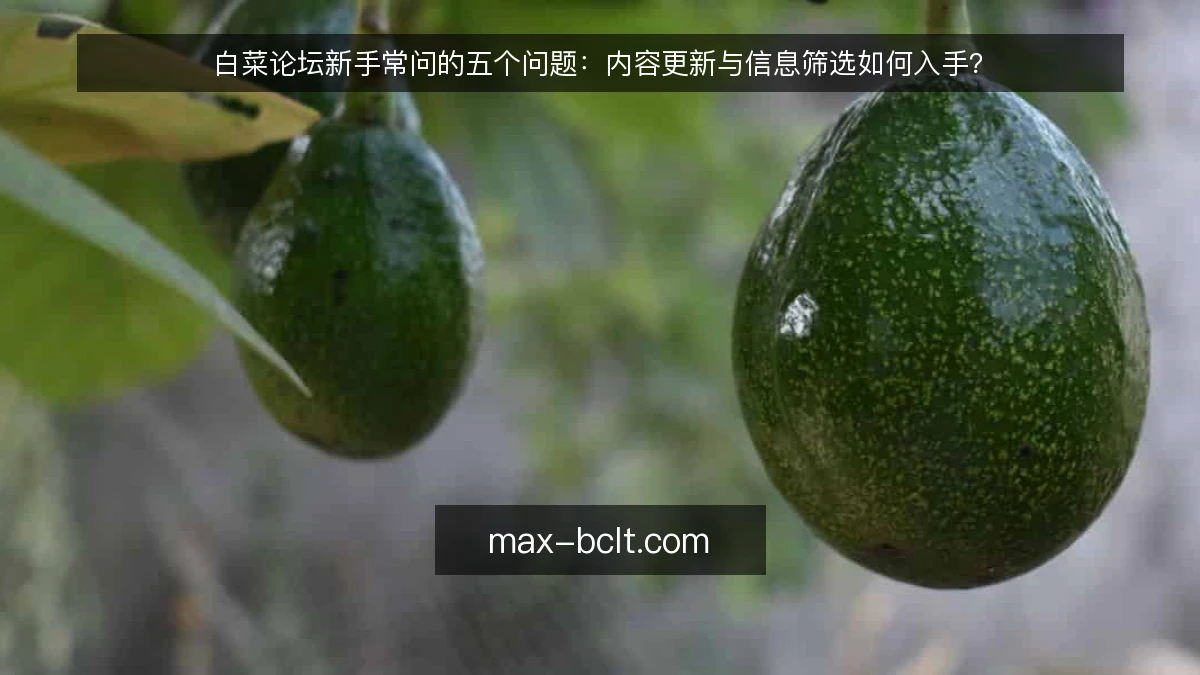 白菜论坛新手常问的五个问题：内容更新与信息筛选如何入手？