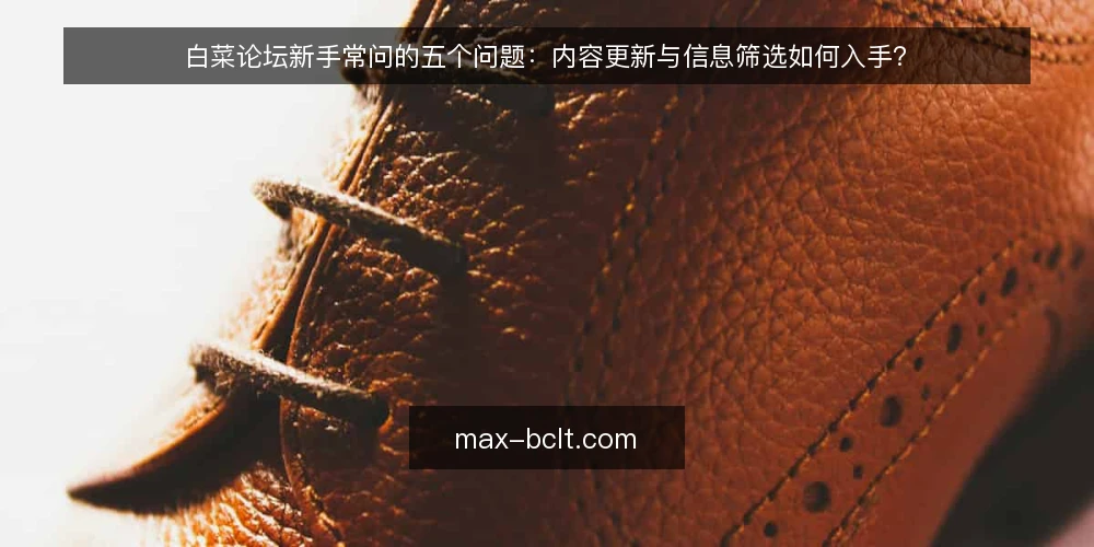 白菜论坛新手常问的五个问题:内容更新与信息筛选如何入手? — 为什么白菜论坛的内容更新这么快? 配图