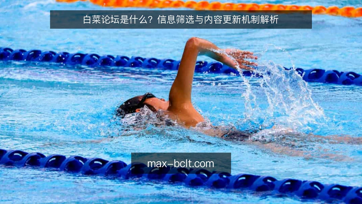 白菜论坛是什么？信息筛选与内容更新机制解析