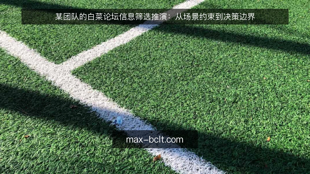某团队的白菜论坛信息筛选推演：从场景约束到决策边界