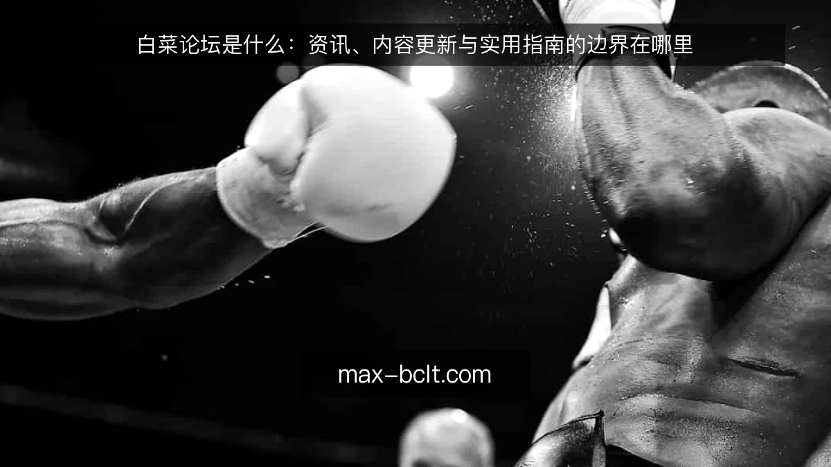 白菜论坛是什么：资讯、内容更新与实用指南的边界在哪里