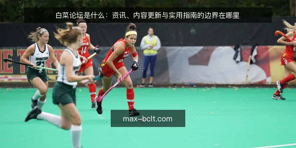 白菜论坛是什么：资讯、内容更新与实用指南的边界在哪里 — 先厘清白菜论坛是什么 配图